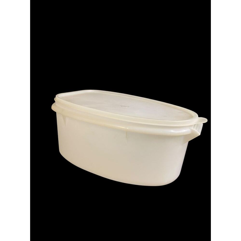 Vintage Tupperware Flavor Savor Ham Roast Keeper 487-5 with Lid 488-4